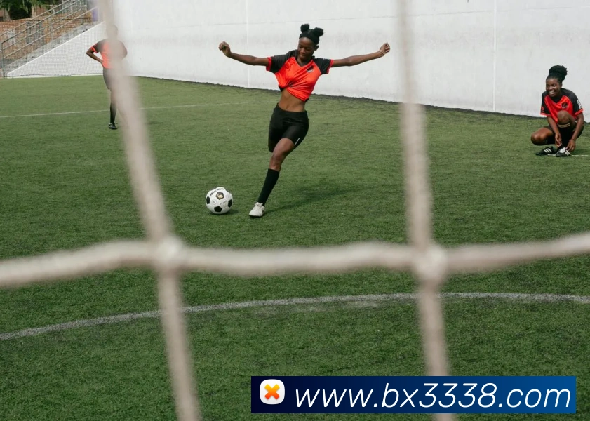 ayx官网登录入口网页平台生态图